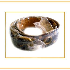 New Rare & Unique Women's Very Fancy Accented Belt With Brass Accents